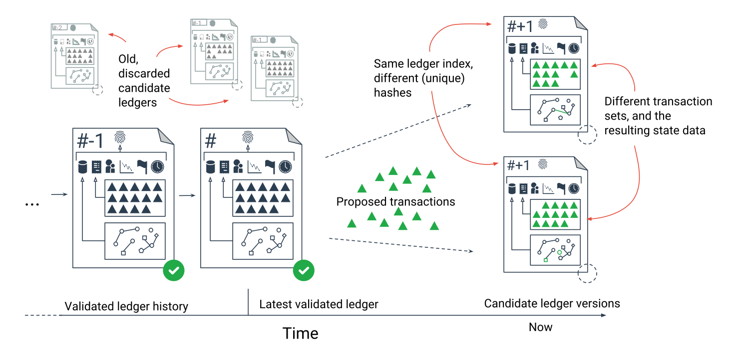 Diagram of ledger history: validated ledgers in a row, then candidate versions of the next ledger with different transaction sets and different hashes.